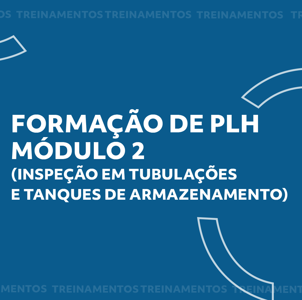 Inspeção em pás