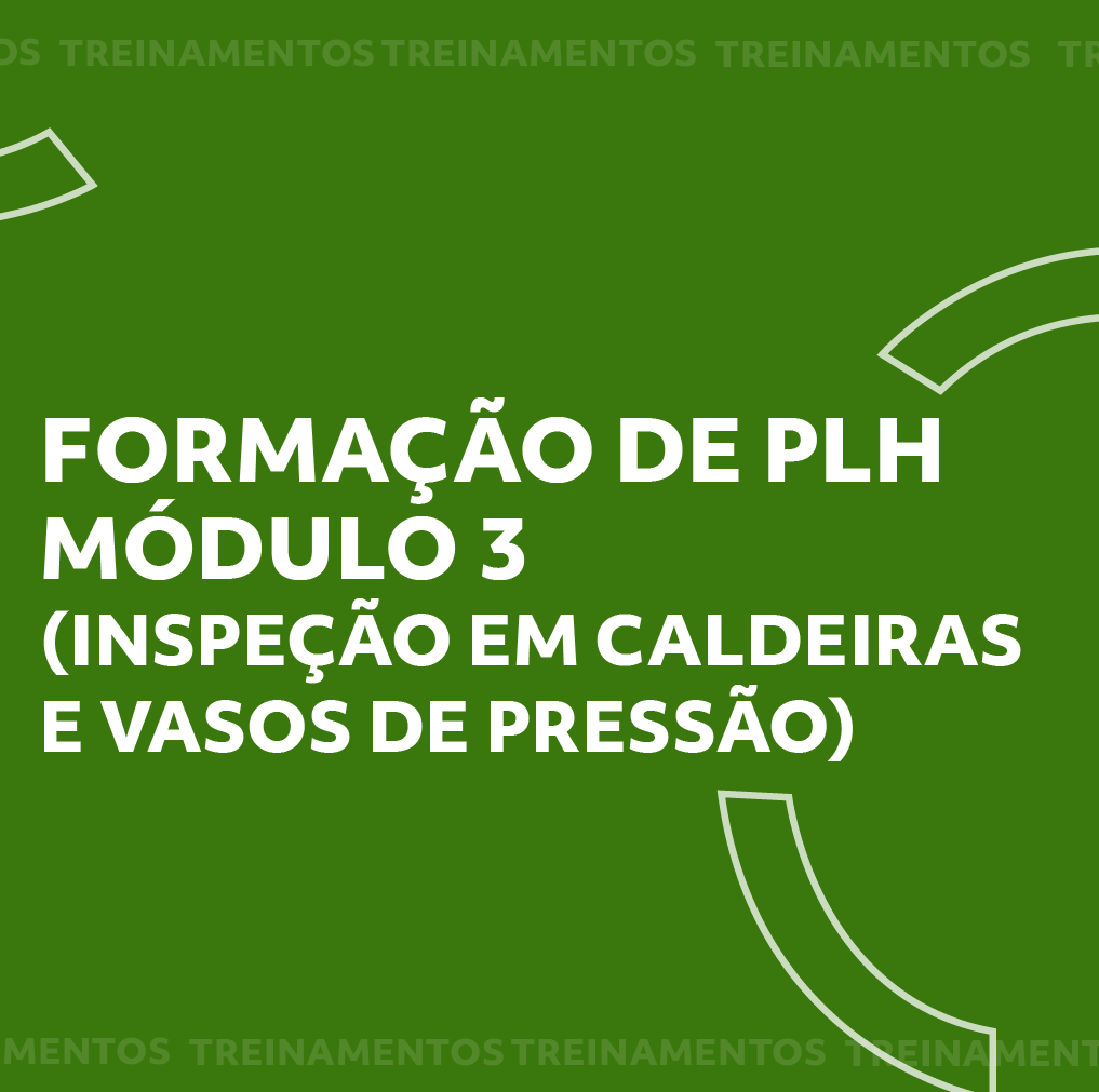 Inspeção em pás
